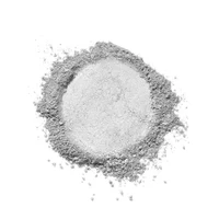Пудра Mesauda Celestial Veil Powder 301 Invisible 2