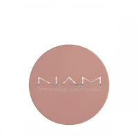 Пудра NAM Setting Translucent Powder