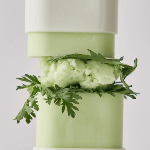 Protecție solară pentru față Beauty of Joseon Matte Sun Stick: Mugwort+Camelia SPF 50+ PA++++