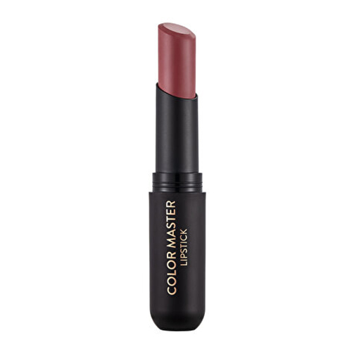 Flormar Color Master Lipstick - 011 Plums