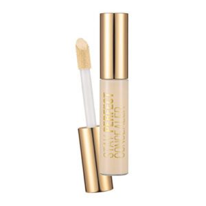 Flormar Stay Perfect Liquid Concealer