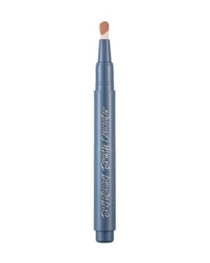 Flormar Brightening Brush Concealer