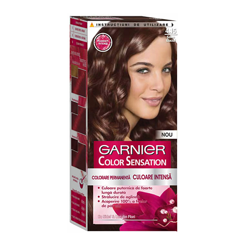 Garnier Color Sensation Hair Color Cream - 4.15 Dark Ruby Brown