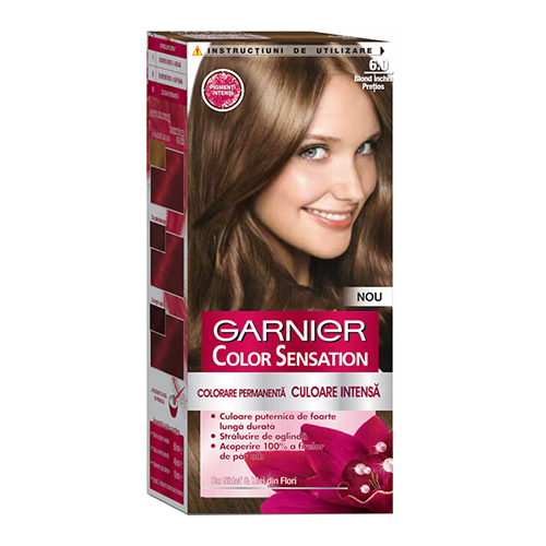 Garnier Color Sensation Hair Color Cream - 6.0 Precious Dark Blond