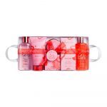 IDC Institute In Love Take A Break Set