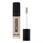 Mesauda Pro Light Concealer - C10