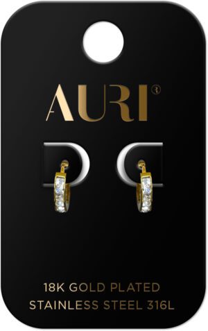 AURI Small Hoop Earrings With Zircons